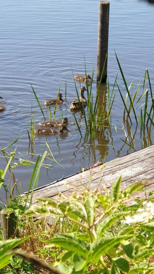 Buiten Huisje Aan De Vaart 1 Matsloot ภายนอก รูปภาพ